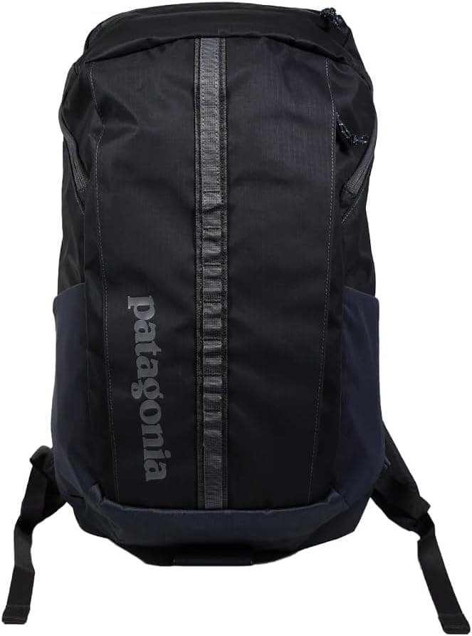 Patagonia Black Hole Backpack