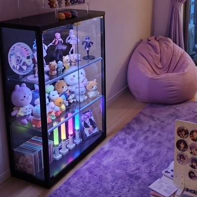 RGB の LED のコレクションケース（写真のイメージ）