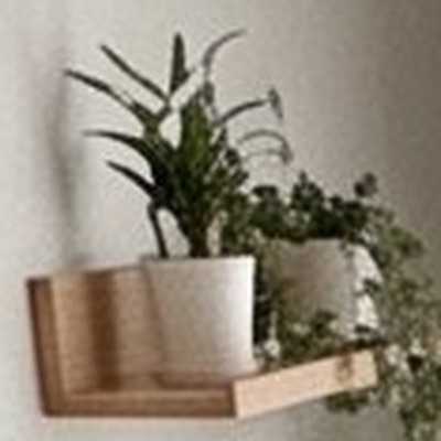 オークのウォールシェルフ（写真のイメージ）