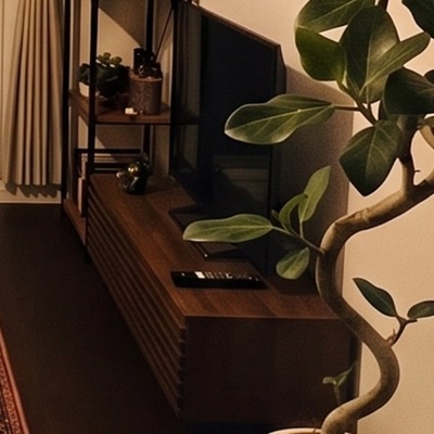 テレビ台（写真のイメージ）