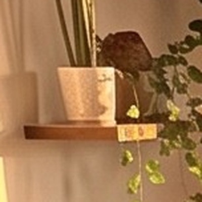 ウォールナットの棚（写真のイメージ）
